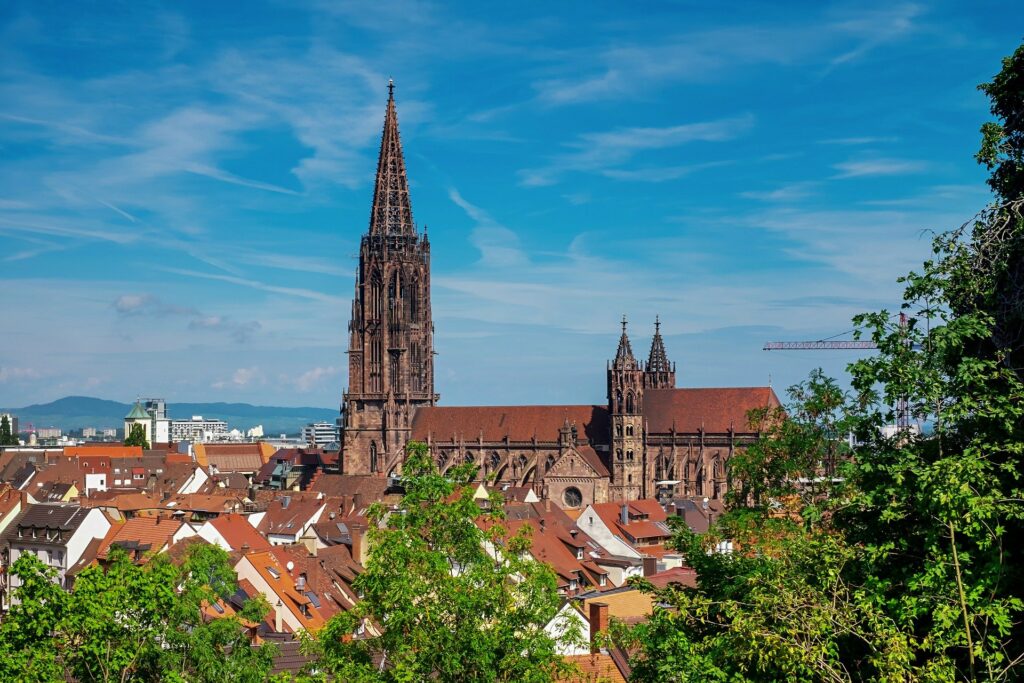 Der Freiburger Münster