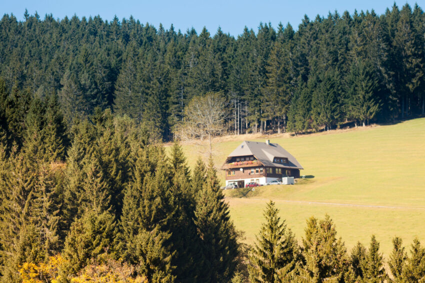Reiseideen im Schwarzwald